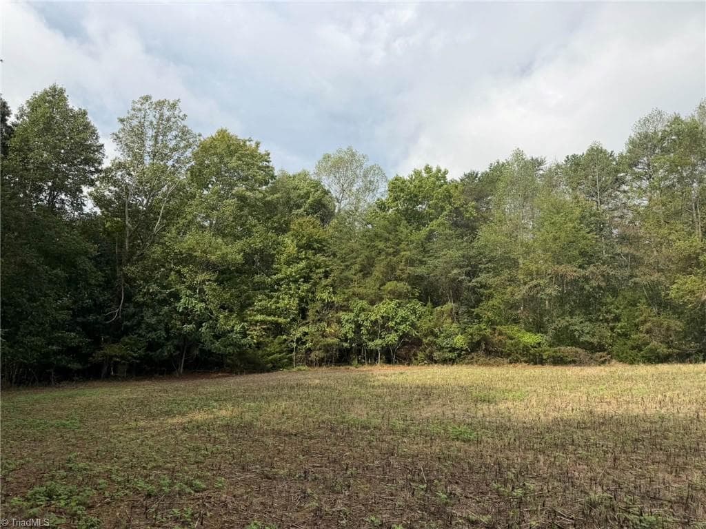 Single Family Residence at 6700 Lot 25+/- Acres Doral Drive, Tobaccoville NC 27050, Tobaccoville, photo 27 of 43