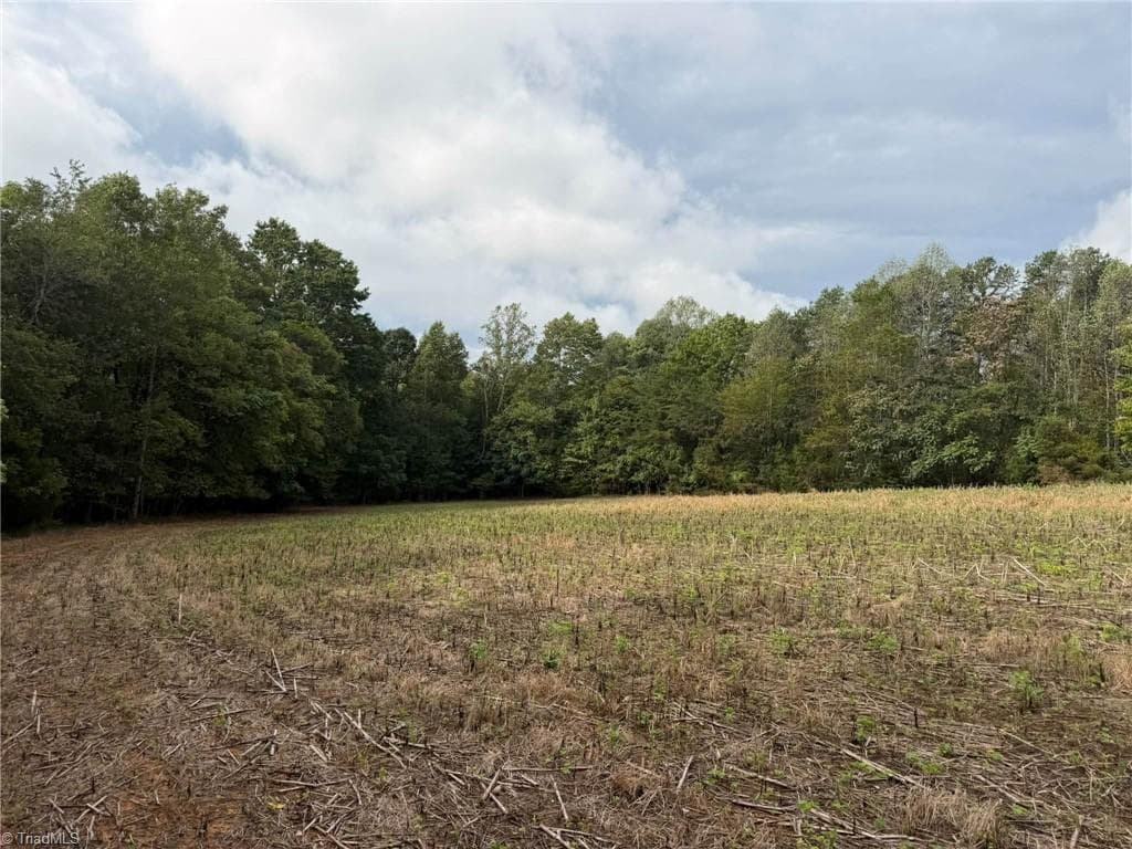 Single Family Residence at 6700 Lot 25+/- Acres Doral Drive, Tobaccoville NC 27050, Tobaccoville, photo 6 of 43