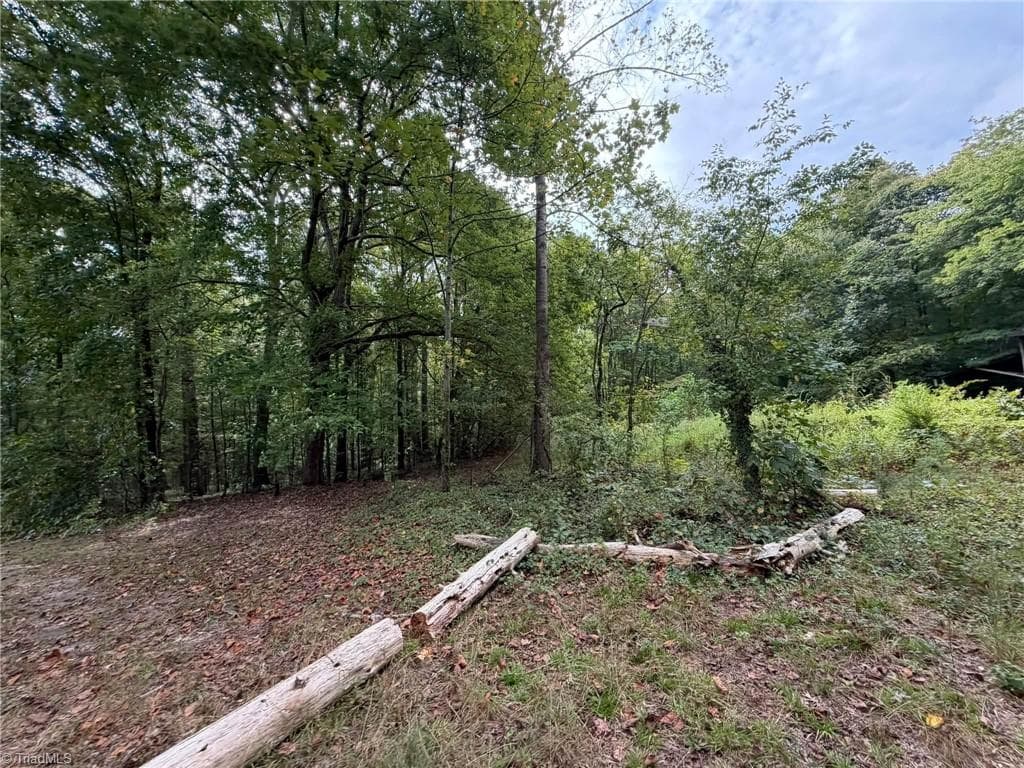 Single Family Residence at 6700 Lot 25+/- Acres Doral Drive, Tobaccoville NC 27050, Tobaccoville, photo 16 of 43