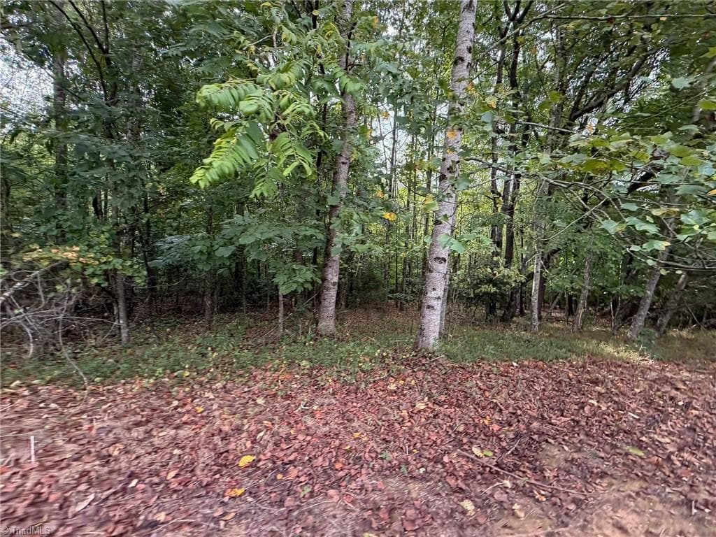 Single Family Residence at 6700 Lot 25+/- Acres Doral Drive, Tobaccoville NC 27050, Tobaccoville, photo 26 of 43