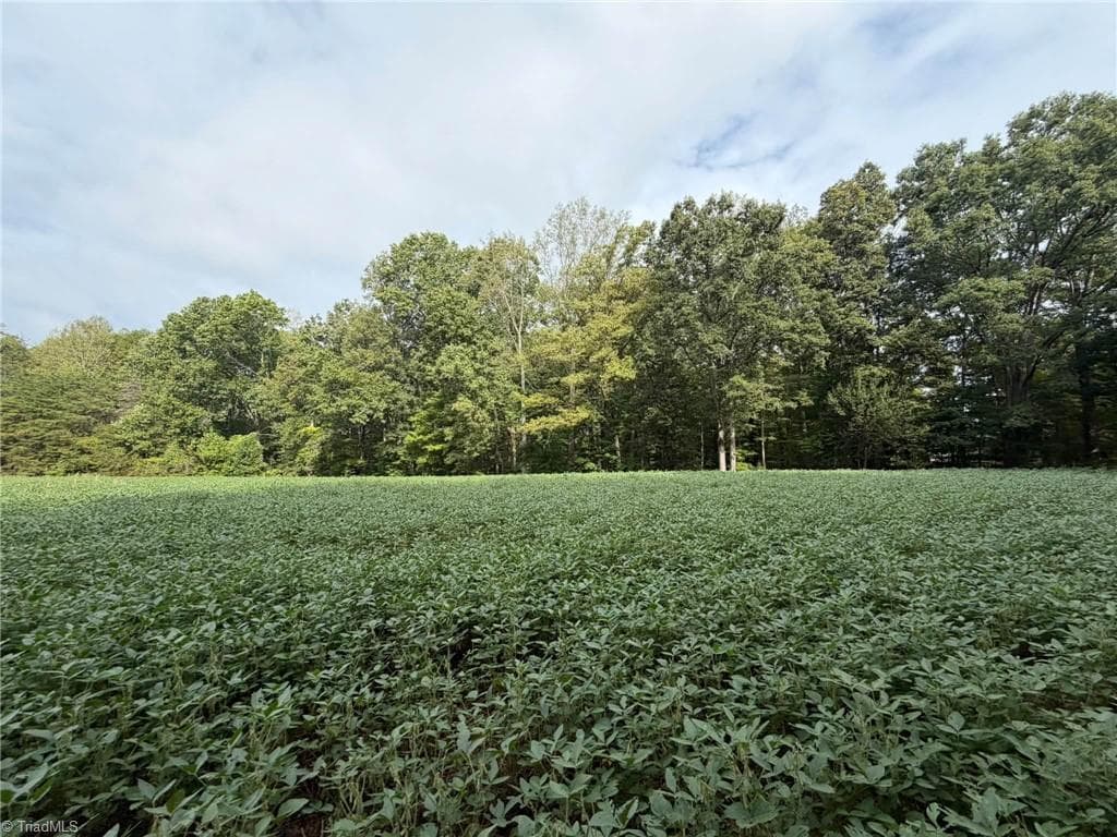 Single Family Residence at 6700 Lot 25+/- Acres Doral Drive, Tobaccoville NC 27050, Tobaccoville, photo 36 of 43