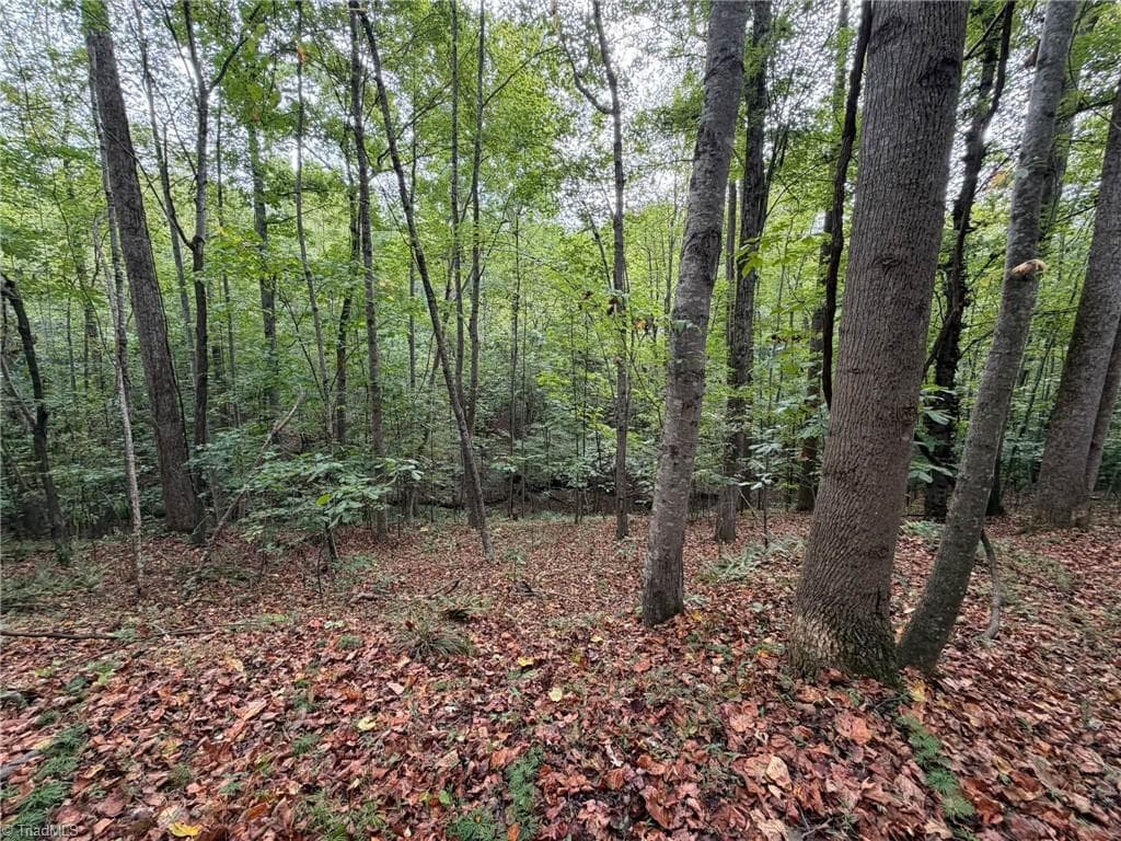 Single Family Residence at 6700 Lot 25+/- Acres Doral Drive, Tobaccoville NC 27050, Tobaccoville, photo 32 of 43