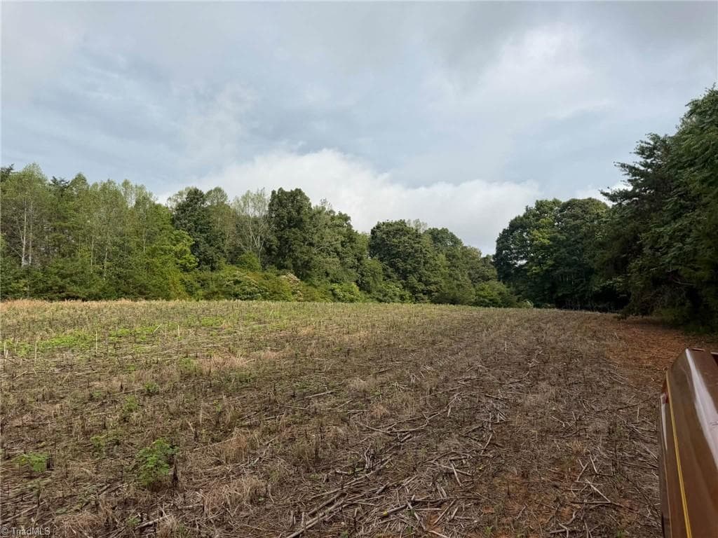 Single Family Residence at 6700 Lot 25+/- Acres Doral Drive, Tobaccoville NC 27050, Tobaccoville, photo 5 of 43