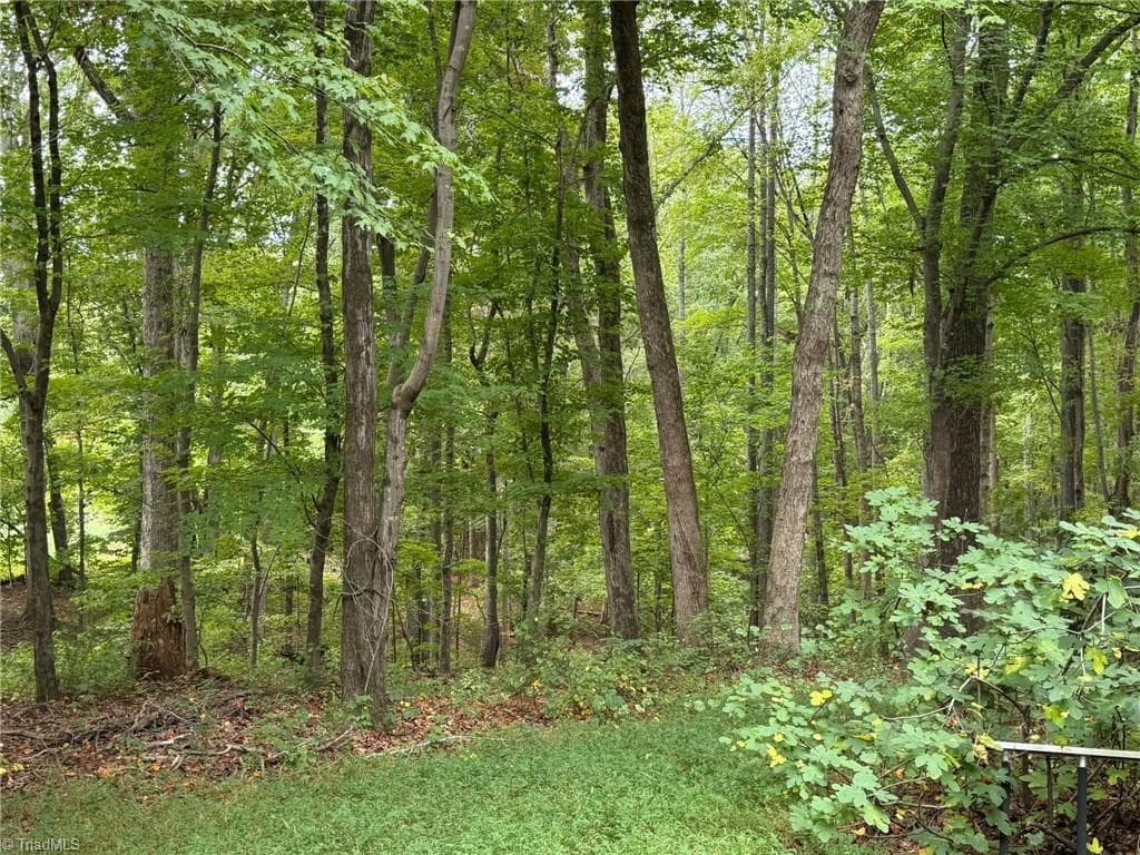 Single Family Residence at 6700 Lot 25+/- Acres Doral Drive, Tobaccoville NC 27050, Tobaccoville, photo 20 of 43