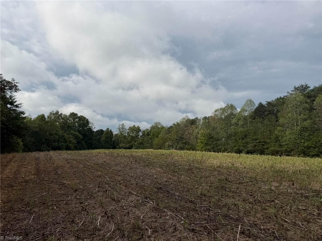 Single Family Residence at 6700 Lot 25+/- Acres Doral Drive, Tobaccoville NC 27050, Tobaccoville, photo 9 of 43