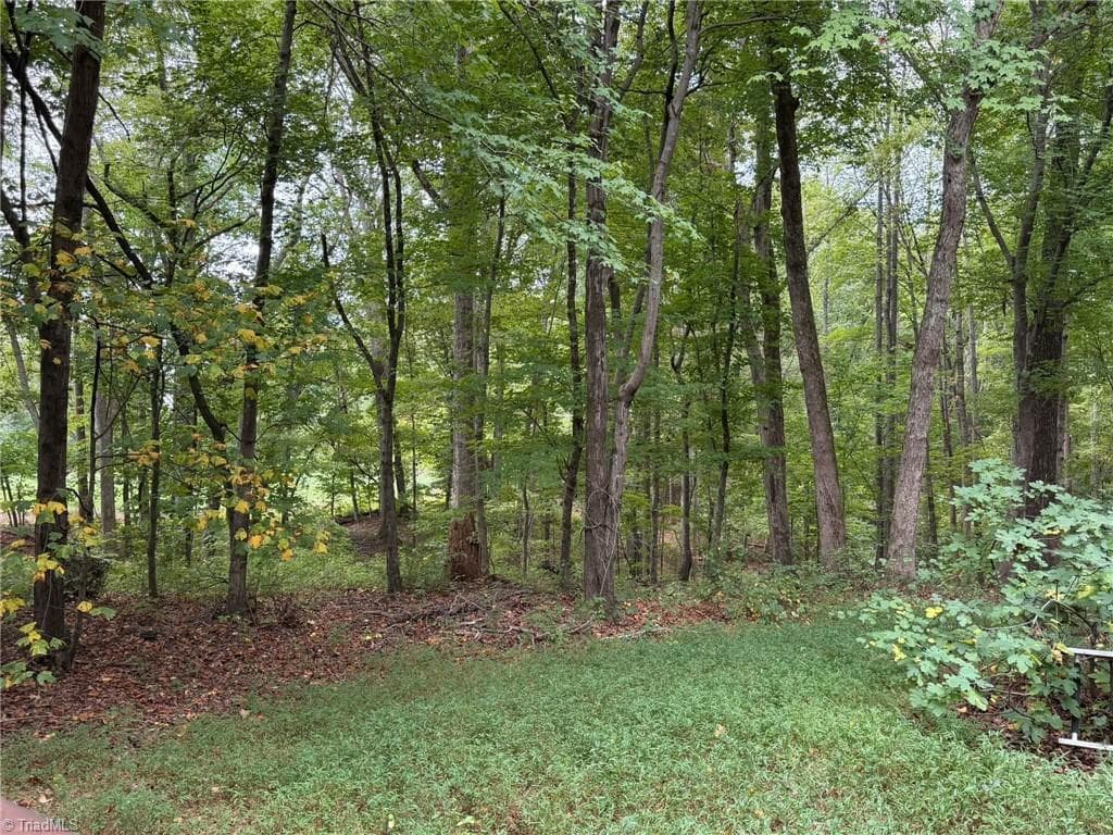 Single Family Residence at 6700 Lot 25+/- Acres Doral Drive, Tobaccoville NC 27050, Tobaccoville, photo 30 of 43