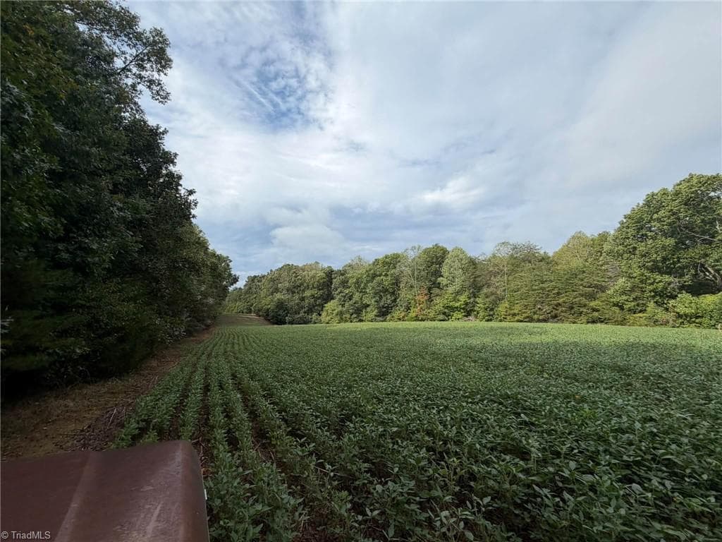 Single Family Residence at 6700 Lot 25+/- Acres Doral Drive, Tobaccoville NC 27050, Tobaccoville, photo 33 of 43