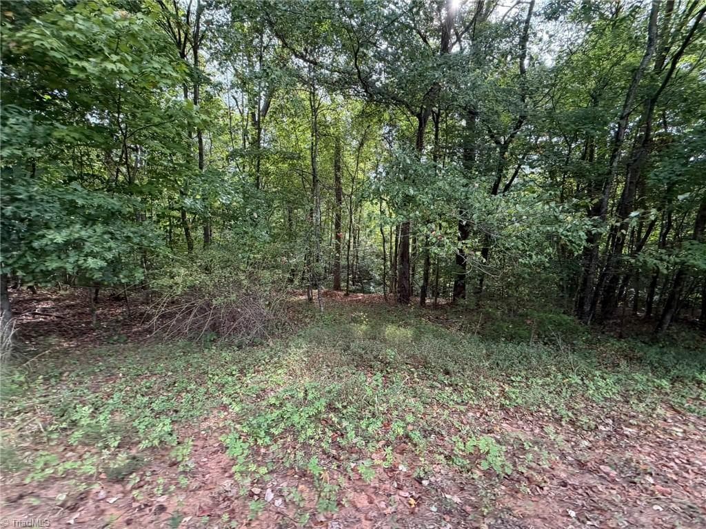 Single Family Residence at 6700 Lot 25+/- Acres Doral Drive, Tobaccoville NC 27050, Tobaccoville, photo 14 of 43
