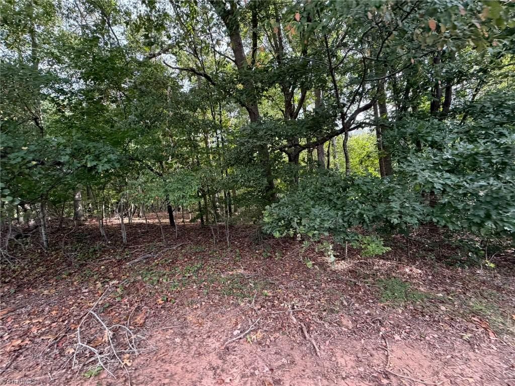 Single Family Residence at 6700 Lot 25+/- Acres Doral Drive, Tobaccoville NC 27050, Tobaccoville, photo 15 of 43