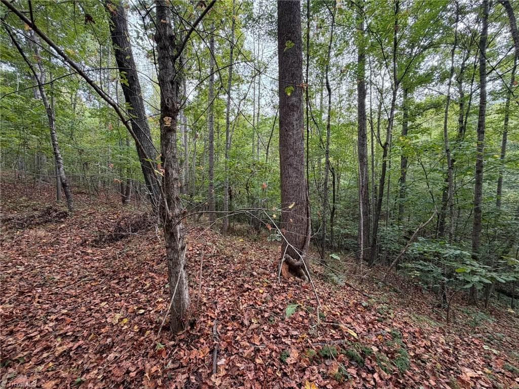 Single Family Residence at 6700 Lot 25+/- Acres Doral Drive, Tobaccoville NC 27050, Tobaccoville, photo 19 of 43