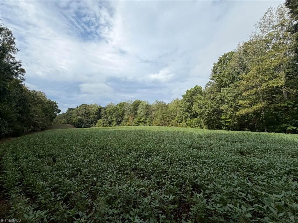 Single Family Residence at 6700 Lot 25+/- Acres Doral Drive, Tobaccoville NC 27050, Tobaccoville, photo 35 of 43
