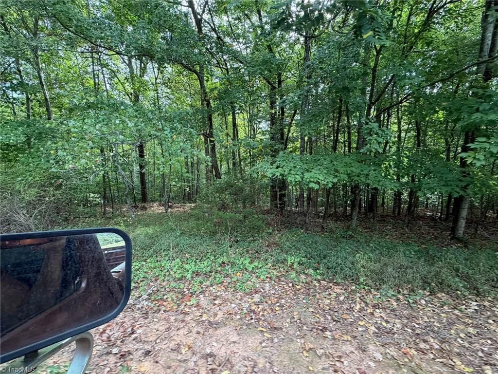 Single Family Residence at 6700 Lot 25+/- Acres Doral Drive, Tobaccoville NC 27050, Tobaccoville, photo 31 of 43