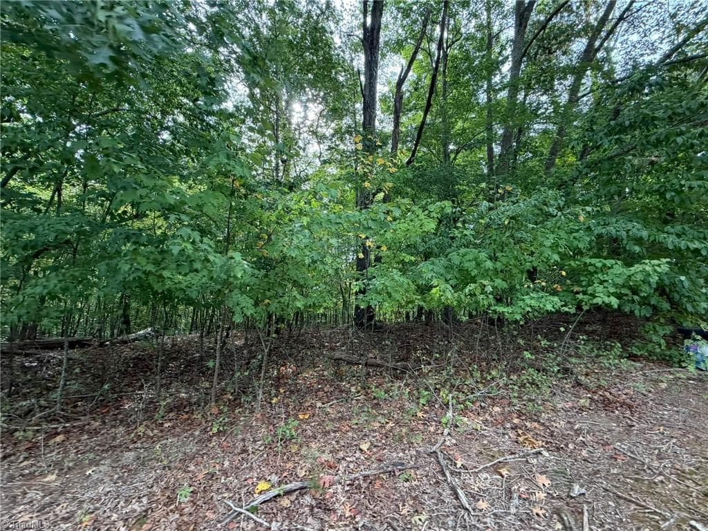 Single Family Residence at 6700 Lot 25+/- Acres Doral Drive, Tobaccoville NC 27050, Tobaccoville, photo 29 of 43