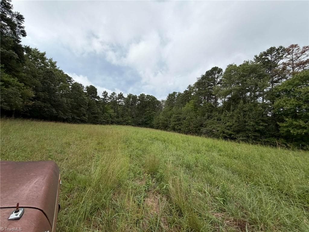 Single Family Residence at 6700 Lot 25+/- Acres Doral Drive, Tobaccoville NC 27050, Tobaccoville, photo 4 of 43