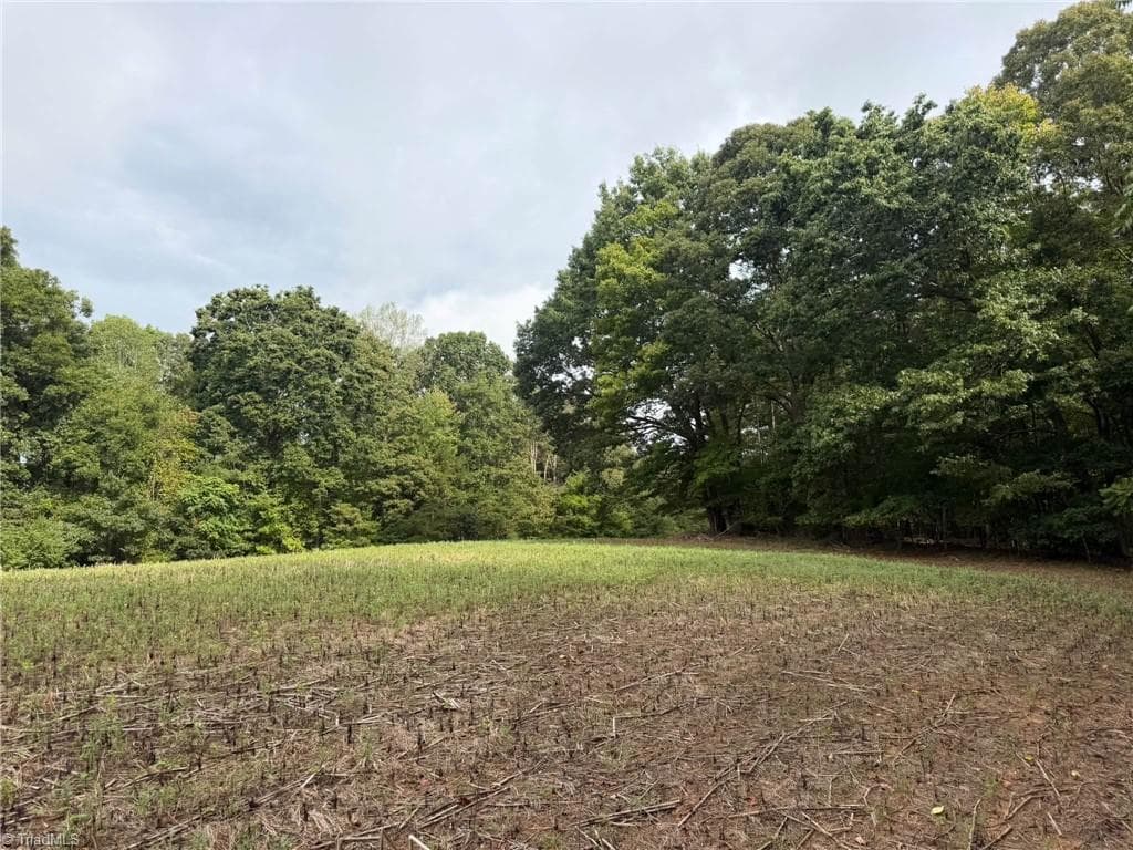 Single Family Residence at 6700 Lot 25+/- Acres Doral Drive, Tobaccoville NC 27050, Tobaccoville, photo 8 of 43