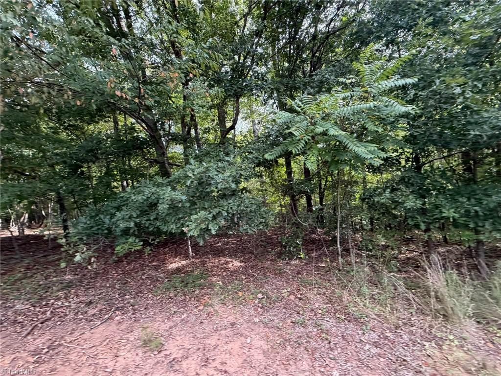 Single Family Residence at 6700 Lot 25+/- Acres Doral Drive, Tobaccoville NC 27050, Tobaccoville, photo 25 of 43
