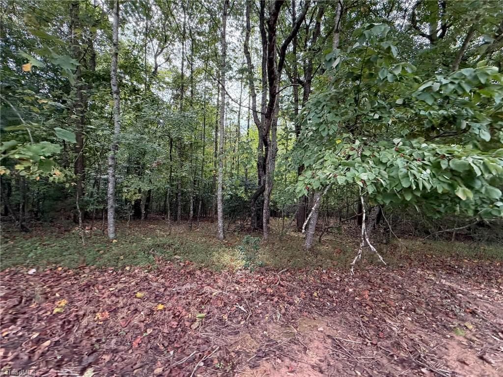 Single Family Residence at 6700 Lot 25+/- Acres Doral Drive, Tobaccoville NC 27050, Tobaccoville, photo 21 of 43
