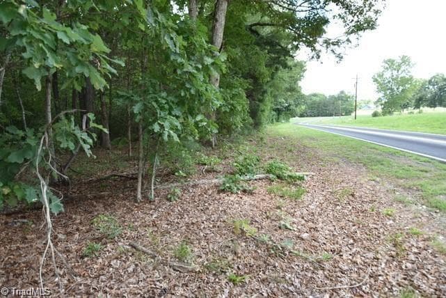 Unimproved Land at 00 Garner Road, Snow Camp NC 27349, Snow Camp, photo 6 of 6