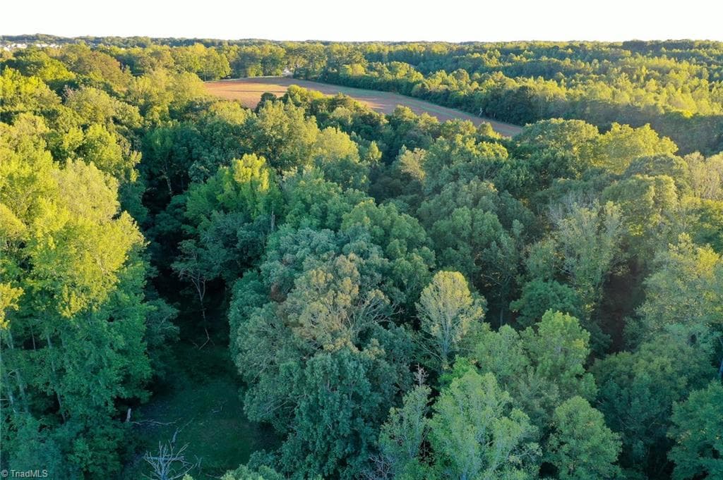 Unimproved Land at 61.8 Acres Spearman Road, Browns Summit NC 27320, Browns Summit, photo 23 of 40