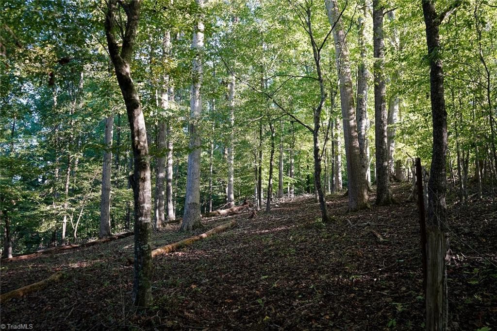 Unimproved Land at 61.8 Acres Spearman Road, Browns Summit NC 27320, Browns Summit, photo 27 of 40