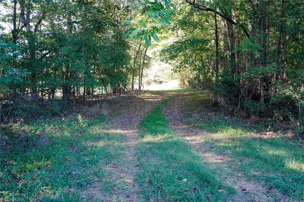 Unimproved Land at 61.8 Acres Spearman Road, Browns Summit NC 27320, Browns Summit, photo 13 of 40