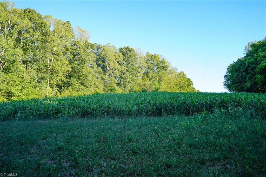 Unimproved Land at 61.8 Acres Spearman Road, Browns Summit NC 27320, photo 17 of 40