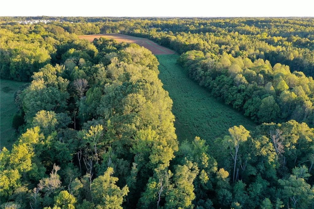 Unimproved Land at 61.8 Acres Spearman Road, Browns Summit NC 27320, Browns Summit, photo 22 of 40