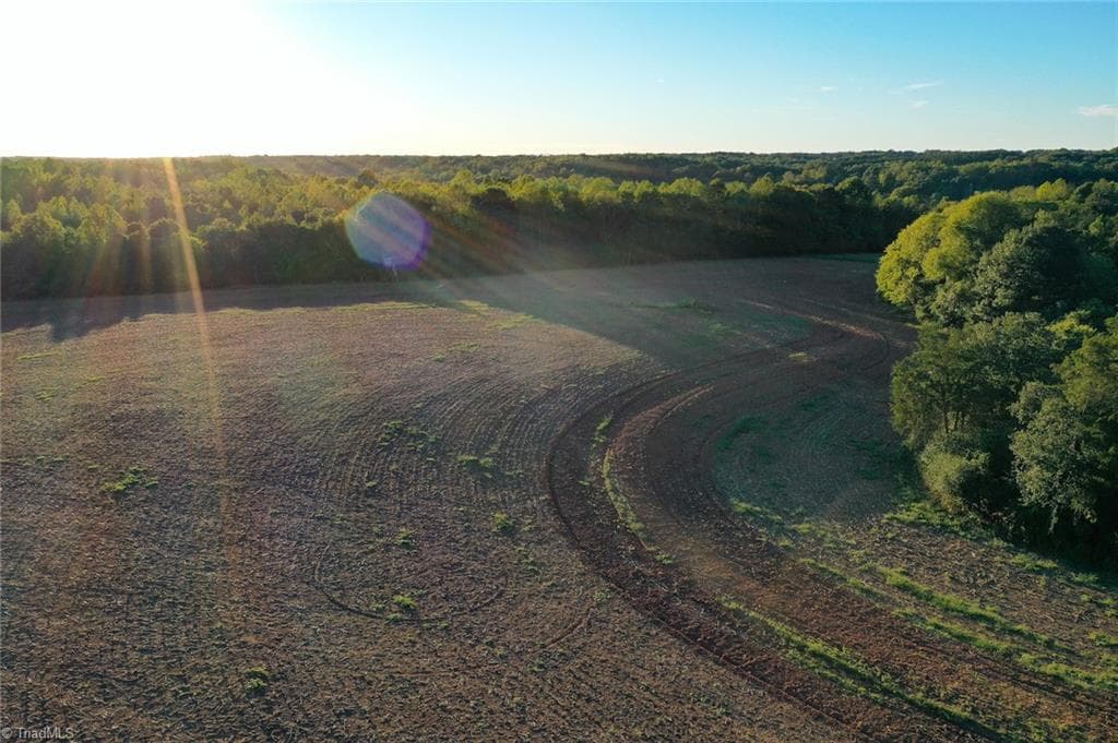 Unimproved Land at 61.8 Acres Spearman Road, Browns Summit NC 27320, photo 7 of 40