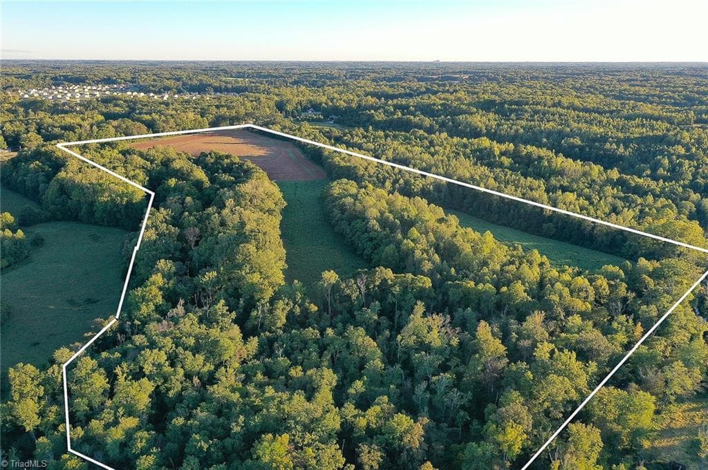 Unimproved Land at 61.8 Acres Spearman Road, Browns Summit NC 27320, Browns Summit, photo 3 of 40