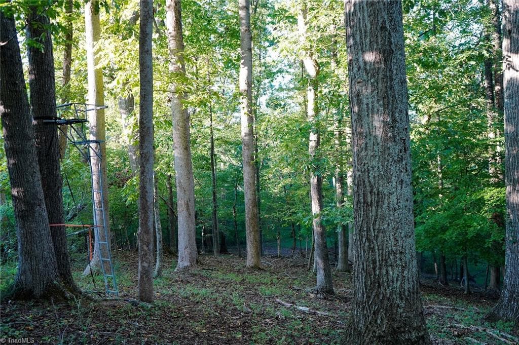 Unimproved Land at 61.8 Acres Spearman Road, Browns Summit NC 27320, photo 36 of 40