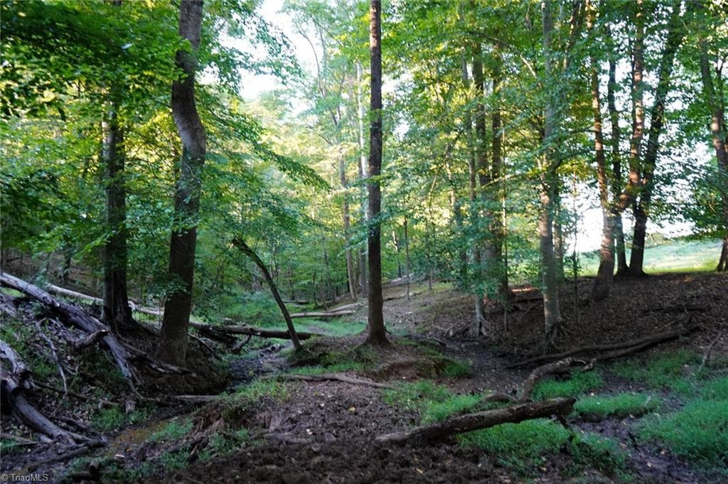 Unimproved Land at 61.8 Acres Spearman Road, Browns Summit NC 27320, photo 32 of 40