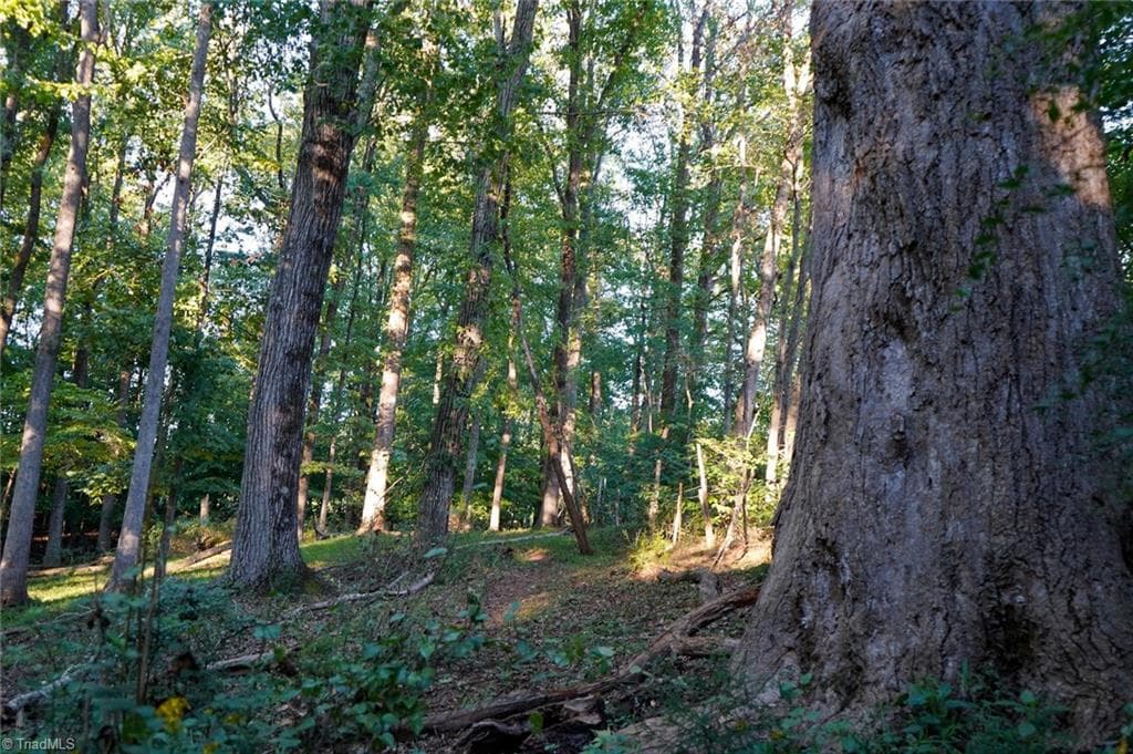 Unimproved Land at 61.8 Acres Spearman Road, Browns Summit NC 27320, Browns Summit, photo 28 of 40