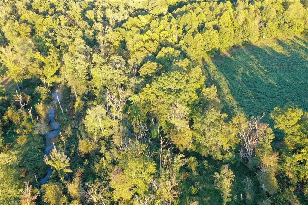 Unimproved Land at 61.8 Acres Spearman Road, Browns Summit NC 27320, photo 20 of 40
