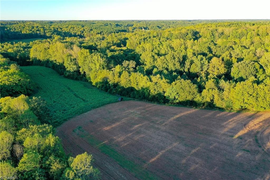Unimproved Land at 61.8 Acres Spearman Road, Browns Summit NC 27320, Browns Summit, photo 9 of 40