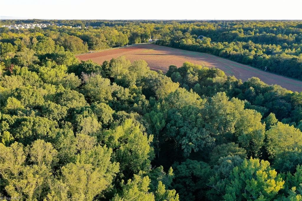 Unimproved Land at 61.8 Acres Spearman Road, Browns Summit NC 27320, Browns Summit, photo 24 of 40