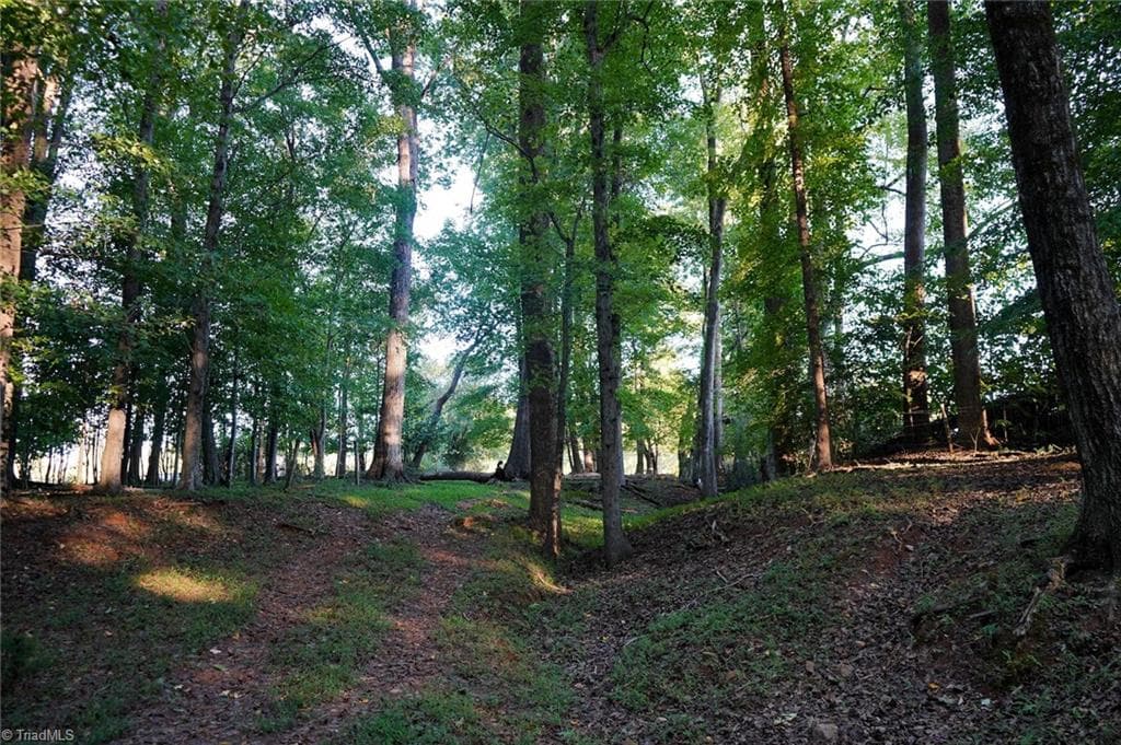 Unimproved Land at 61.8 Acres Spearman Road, Browns Summit NC 27320, Browns Summit, photo 30 of 40