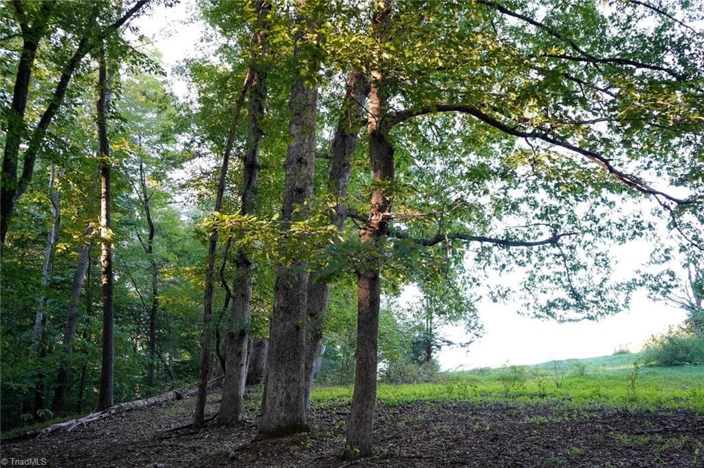 Unimproved Land at 61.8 Acres Spearman Road, Browns Summit NC 27320, Browns Summit, photo 34 of 40