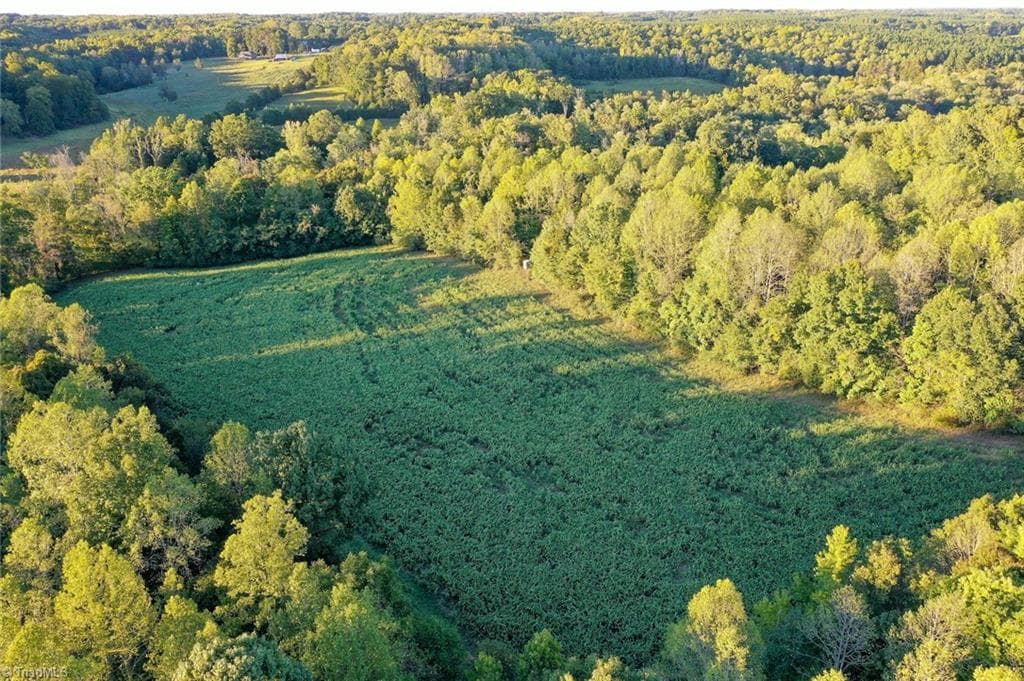 Unimproved Land at 61.8 Acres Spearman Road, Browns Summit NC 27320, Browns Summit, photo 10 of 40