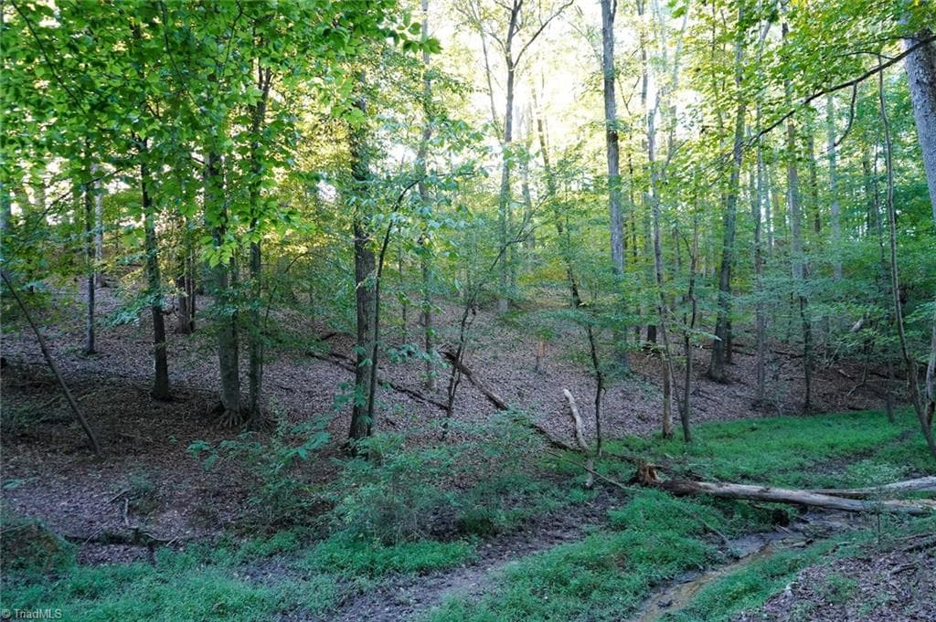Unimproved Land at 61.8 Acres Spearman Road, Browns Summit NC 27320, Browns Summit, photo 33 of 40