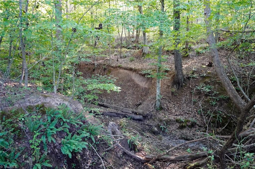 Unimproved Land at 61.8 Acres Spearman Road, Browns Summit NC 27320, Browns Summit, photo 14 of 40