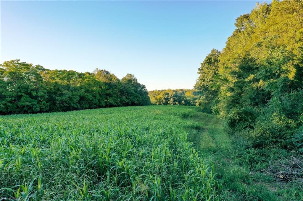 Unimproved Land at 61.8 Acres Spearman Road, Browns Summit NC 27320, Browns Summit, photo 18 of 40