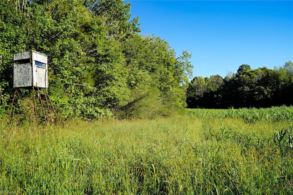 Unimproved Land at 61.8 Acres Spearman Road, Browns Summit NC 27320, Browns Summit, photo 15 of 40