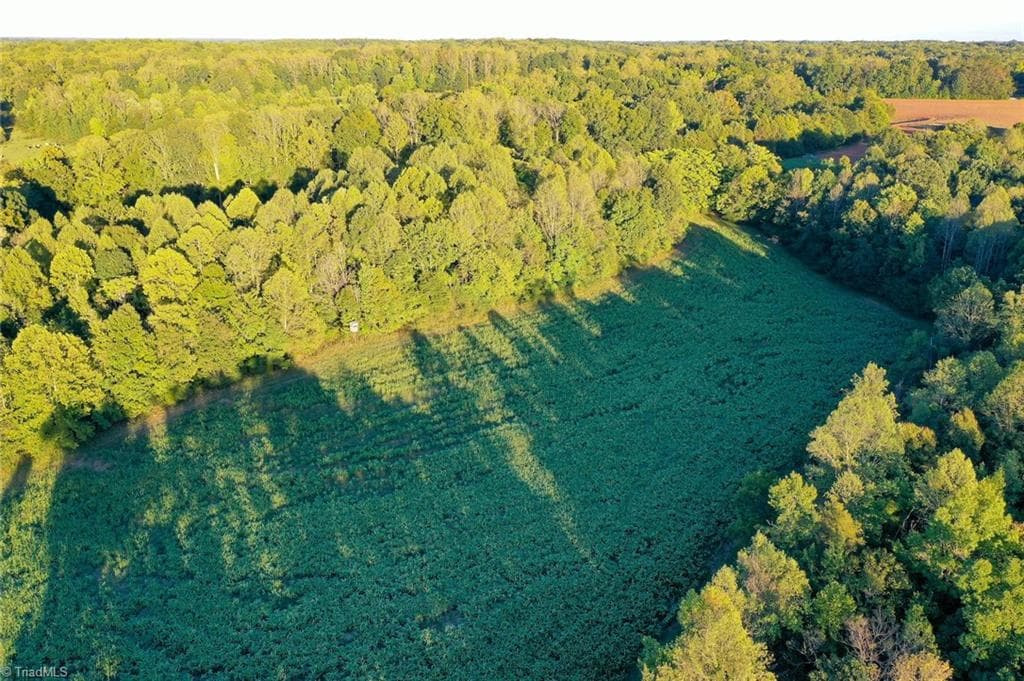 Unimproved Land at 61.8 Acres Spearman Road, Browns Summit NC 27320, photo 11 of 40
