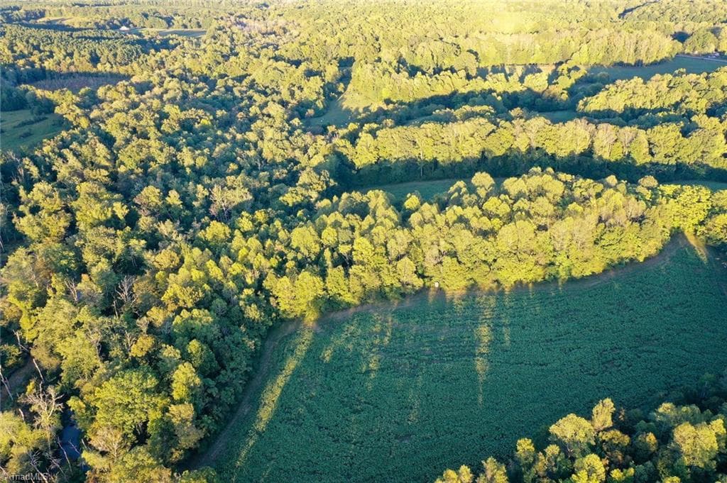 Unimproved Land at 61.8 Acres Spearman Road, Browns Summit NC 27320, Browns Summit, photo 19 of 40