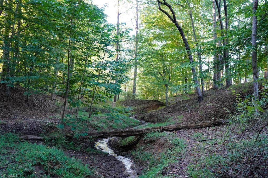 Unimproved Land at 61.8 Acres Spearman Road, Browns Summit NC 27320, photo 35 of 40
