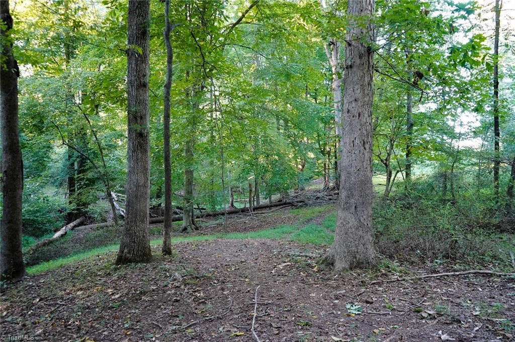 Unimproved Land at 61.8 Acres Spearman Road, Browns Summit NC 27320, Browns Summit, photo 31 of 40