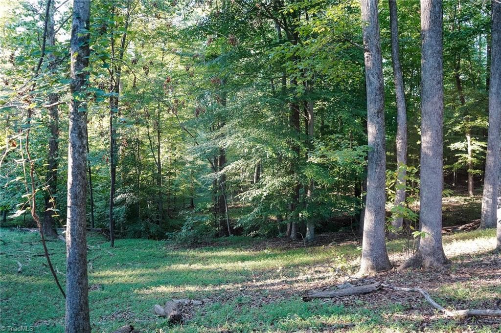 Unimproved Land at 61.8 Acres Spearman Road, Browns Summit NC 27320, Browns Summit, photo 29 of 40