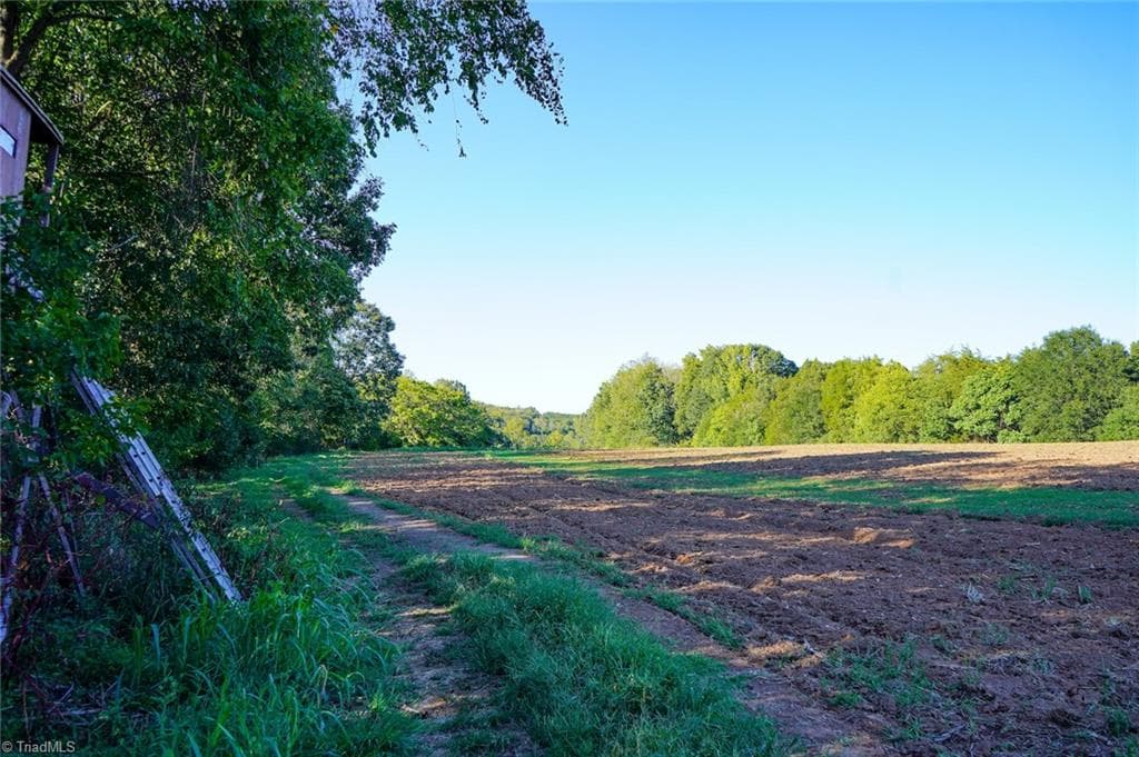 Unimproved Land at 61.8 Acres Spearman Road, Browns Summit NC 27320, Browns Summit, photo 8 of 40