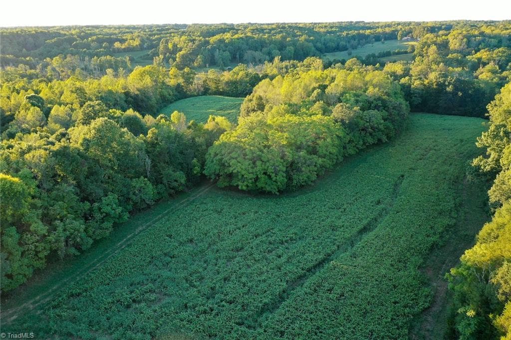 Unimproved Land at 61.8 Acres Spearman Road, Browns Summit NC 27320, Browns Summit, photo 25 of 40