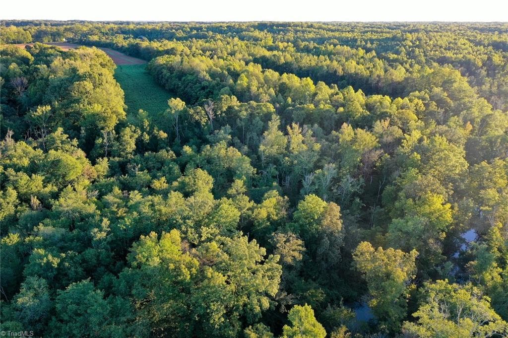 Unimproved Land at 61.8 Acres Spearman Road, Browns Summit NC 27320, photo 21 of 40